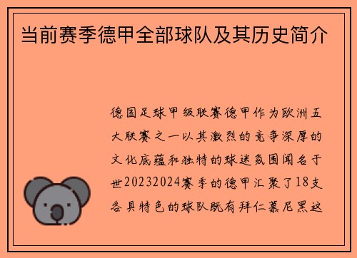 当前赛季德甲全部球队及其历史简介